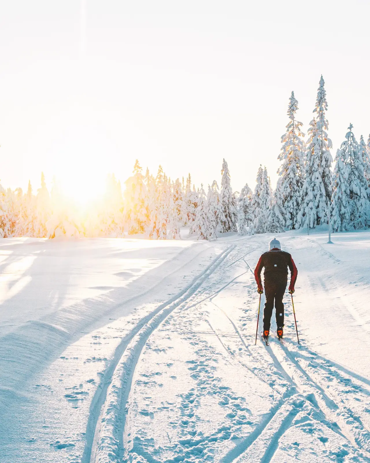 Spor i solnedgang